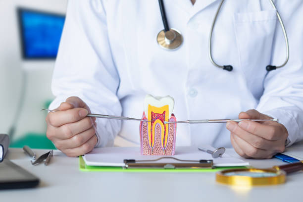 Best Emergency Dental Care for Broken or Chipped Teeth in Little Elm, TX